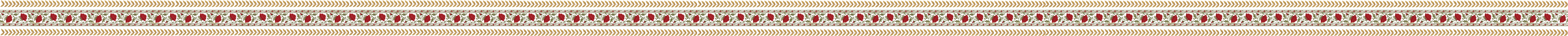 Border